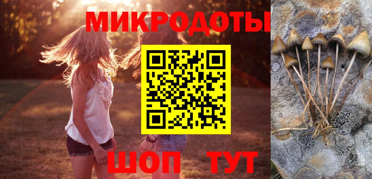 Новокубанск  Псилоцибиновые грибы Psilocybine cubensis  Вход с VPN  Галлюциногенные грибы ЛСД 