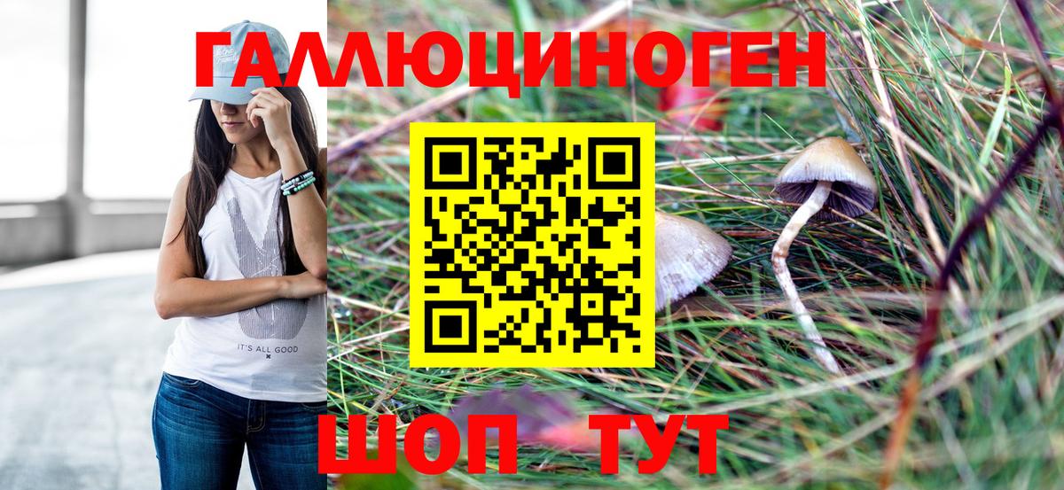 Галлюциногенные грибы Psilocybine cubensis Новокубанск